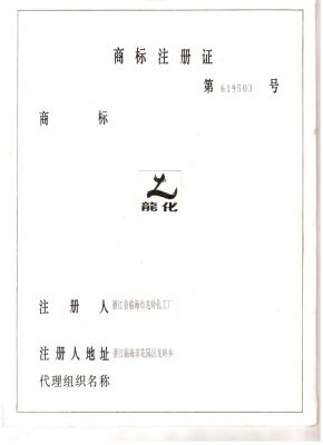 龍化商標(biāo)注冊(cè)證第619503號(hào)2012917-20221129-1